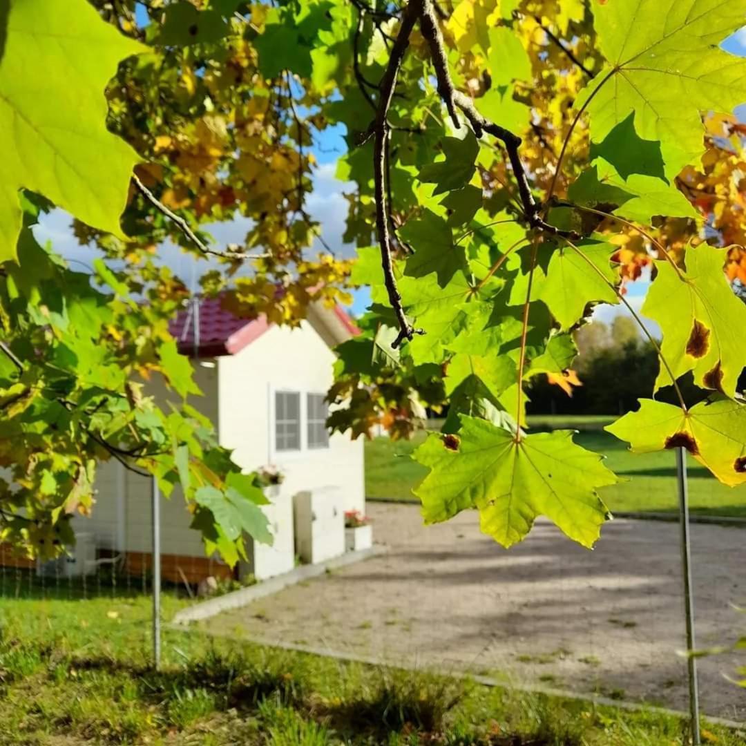 Osada Wilaneska Domki Mikolajki Mazury Eksteriør billede